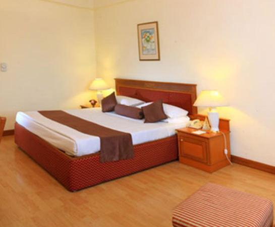 Hotel Hridey Inn New Delhi Rum bild